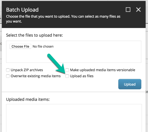 How to stop editors from uploading media directly to the server file system